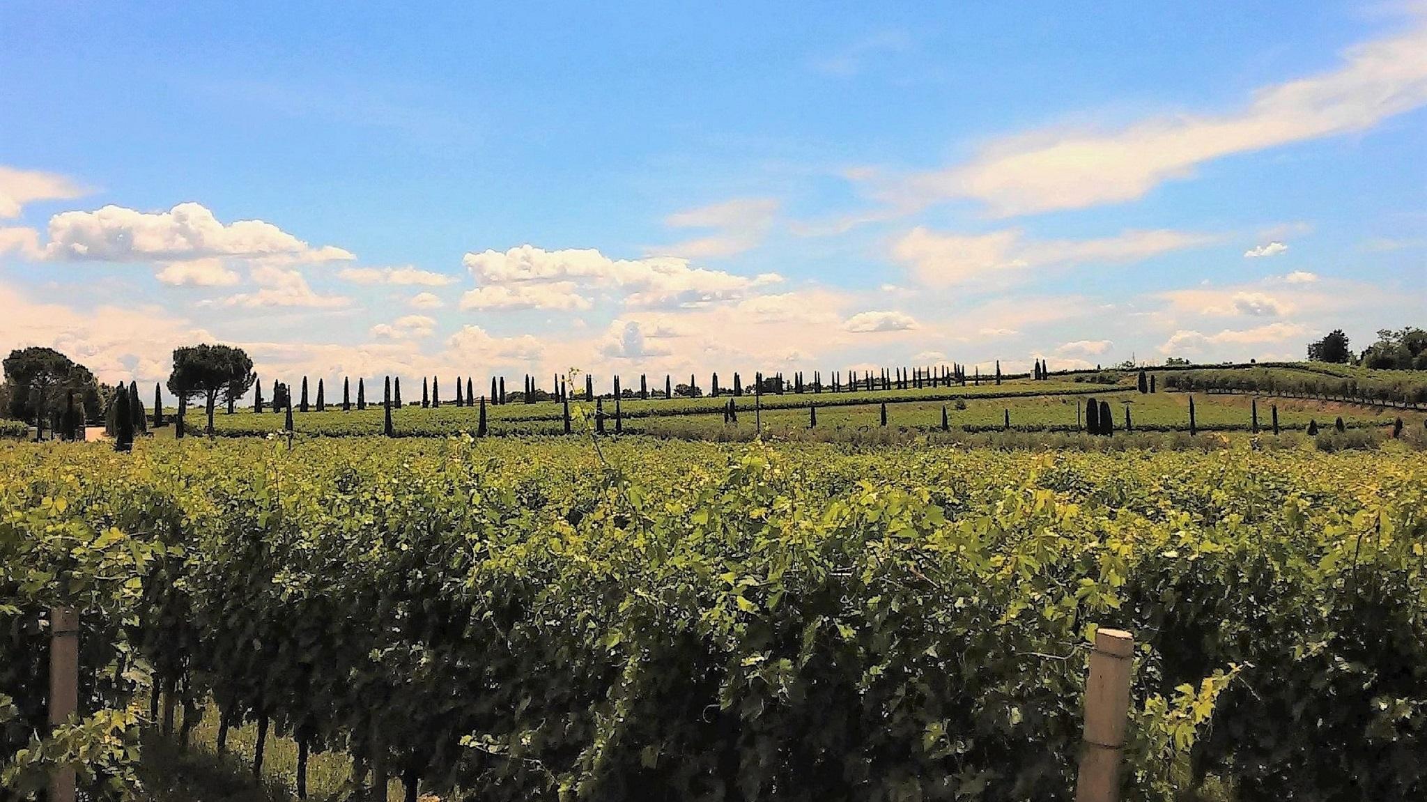Borgo Romantico Green Relais Cavaion Veronese Eksteriør bilde