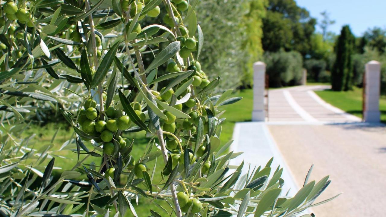 Borgo Romantico Green Relais Cavaion Veronese Eksteriør bilde